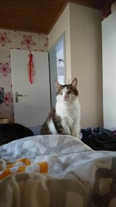 WhatsApp Image 2017-04-13 at 17.32.44.jpeg