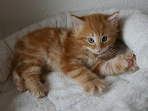 Hemingway 20-03-16-14.jpg