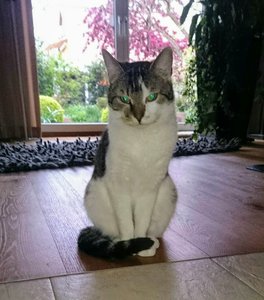 2017-05-04 18.32.53.jpg