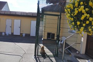 Freigehege 2 667.jpg