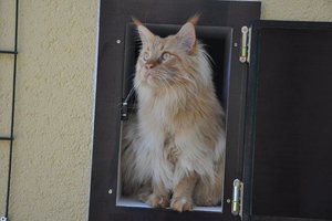 Freigehege 2 953.jpg