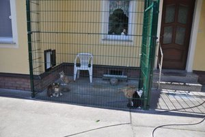 Freigehege 2 1095.jpg