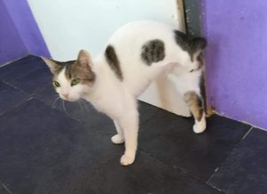 WhatsApp Image 2017-06-03 at 18.52.47.jpeg