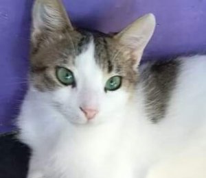 WhatsApp Image 2017-06-03 at 18.34.05.jpeg