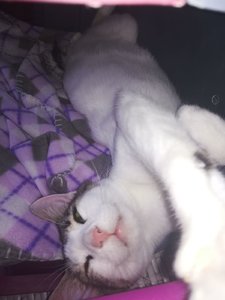 WhatsApp Image 2017-06-05 at 09.40.21.jpeg