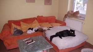 18920617_10212144517065718_8260417210991516035_n (1).jpg