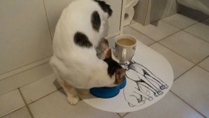 WhatsApp Image 2017-06-17 at 21.18.34.jpeg