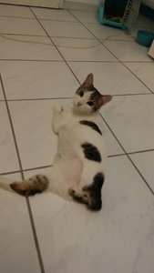 WhatsApp Image 2017-06-17 at 21.54.09.jpeg