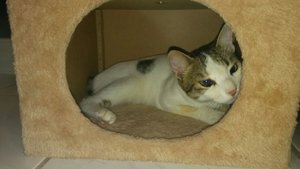 WhatsApp Image 2017-06-17 at 22.11.55.jpeg