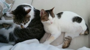 WhatsApp Image 2017-06-24 at 16.56.53.jpeg