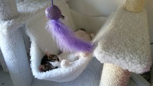 WhatsApp Image 2017-06-24 at 17.24.10.jpeg