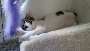 WhatsApp Image 2017-06-24 at 17.28.33.jpeg