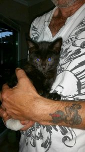 m-konversation-anhang (1).jpg