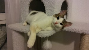 WhatsApp Image 2017-06-25 at 23.06.47.jpeg