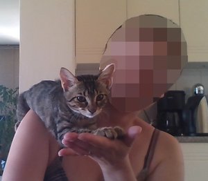 WIN_20170626_09_59_43_Pro (2).jpg