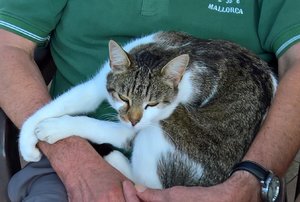 WP_20170614_17_34_12_Pro (3).jpg