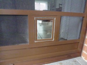 katzenklappe 002.jpg