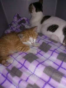 WhatsApp Image 2017-07-14 at 09.42.00 (1).jpeg