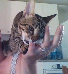 WIN_20170724_17_45_29_Pro (2).jpg