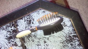 bilder von loona 016.jpg