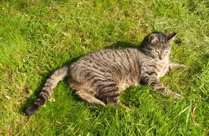 2014.05.04 135-1.jpg