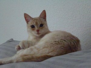 Miffi und Co 22.08.16 008.jpg