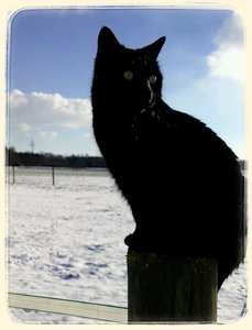 2017-01-06-14-18-43~2.jpg 2017-01-06-14-18-43~2.jpg