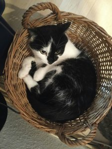 IMG-20170428-WA0005 (2).jpg