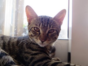 IMG_9869.jpg IMG_9869.jpg