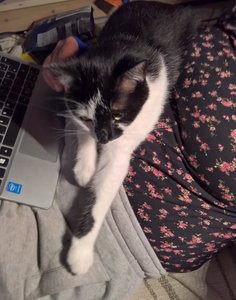 WP_20170823_22_25_26_Pro (3).jpg