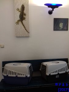 CR_05_2017_1075.jpg CR_05_2017_1075.jpg