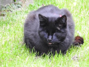 DSCN0768 (Kopie).JPG