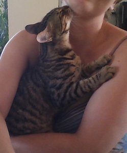 WIN_20170830_11_27_39_Pro (2).jpg WIN_20170830_11_27_39_Pro (2).jpg