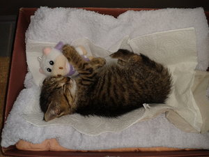 2015-09-06 14.48.11.jpg