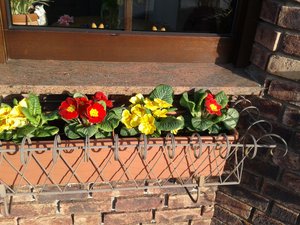 Handy 21.06.2017 214.jpg