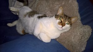 WP_20170909_19_01_26_Pro.jpg WP_20170909_19_01_26_Pro.jpg