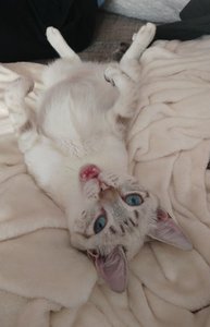 WhatsApp Image 2017-09-24 at 20.43.35(1).jpeg