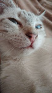 WhatsApp Image 2017-09-24 at 20.43.33.jpeg