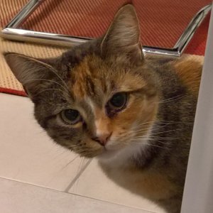 WP_20171015_19_45_11_Pro (2).jpg