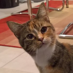 WP_20171015_19_45_17_Pro (2).jpg