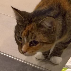 WP_20171015_19_45_46_Pro (2).jpg