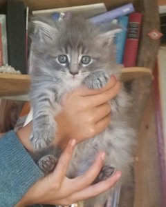 2017-10-22 20.54.36.jpg