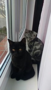 WhatsApp Image 2017-10-30 at 13.35.25.jpeg