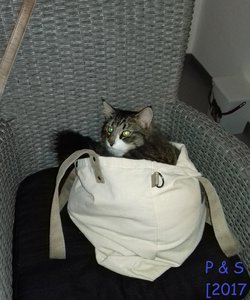 20170418_192758 (2).jpg