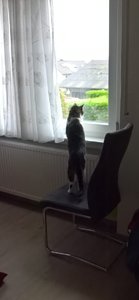 IMG-20171110-WA0003 (2).jpg