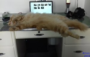 CR_10_2017045 (2).jpg