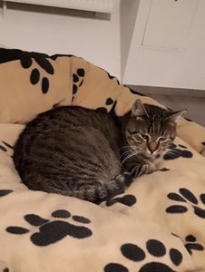 20171003_223925 (2).jpg