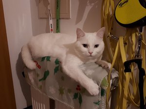 20171202_175022 (2).jpg