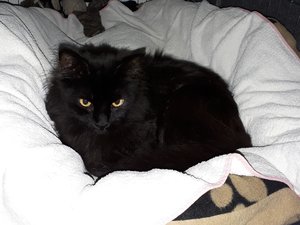 20171204_152706 (2).jpg