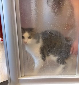 IMG-20171209-WA0005 (2).jpg